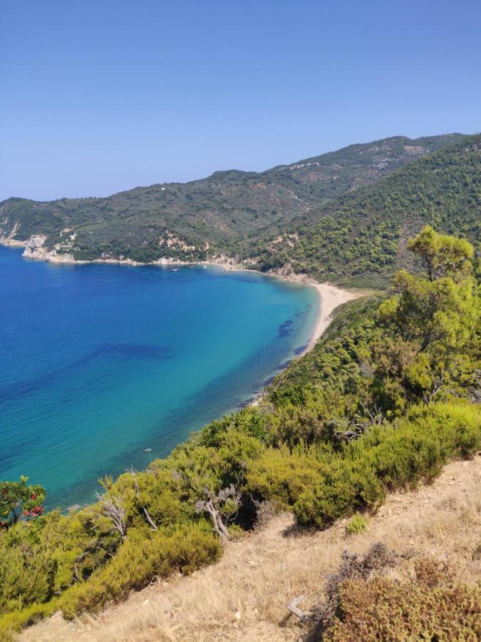 Taxiarchis Apartments Skiathos Town Exterior photo